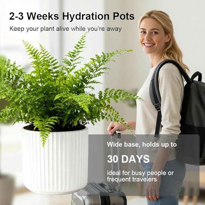 2 Pack of 5in Ceramic Cachepot with 5 inch Clear nusery Pot - self Watering Indoor Planter with Drainage for Root Visibility,semi Hydro pots for repotting Orchid,White