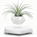 MOOCCI Floating Plant Pot Magnetic Levitating Plant Pot for Succulents, Levitating Decor for Home & Office Magnetic Floating Levitating Display (White)