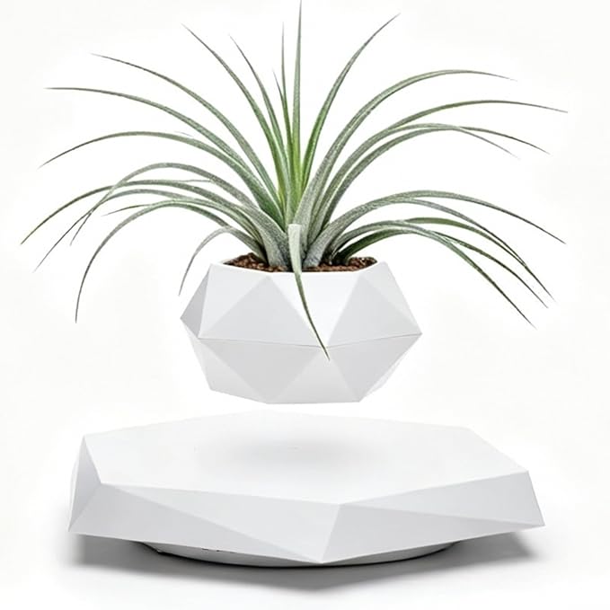 MOOCCI Floating Plant Pot Magnetic Levitating Plant Pot for Succulents, Levitating Decor for Home & Office Magnetic Floating Levitating Display (White)
