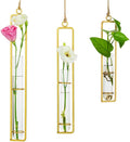 Sziqiqi Glass Propagation Station Test Tube Vases Clear Glass for Cuttings, Buds, Greenery Hydroponic Plant Propagation Home Balcony Bath Wall Decoration Floral Container Set of 3 Gold