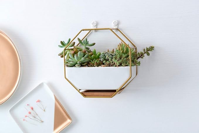 VanEnjoy 7" White Ceramic Wall Planters Vase and Copper,Drainage Hole with Bamboo Tray - Succulent Pot Air Plants Mini Cactus Artificial Flowers Hanging Geometric Hexagon Wall Decor (Gold Metal)