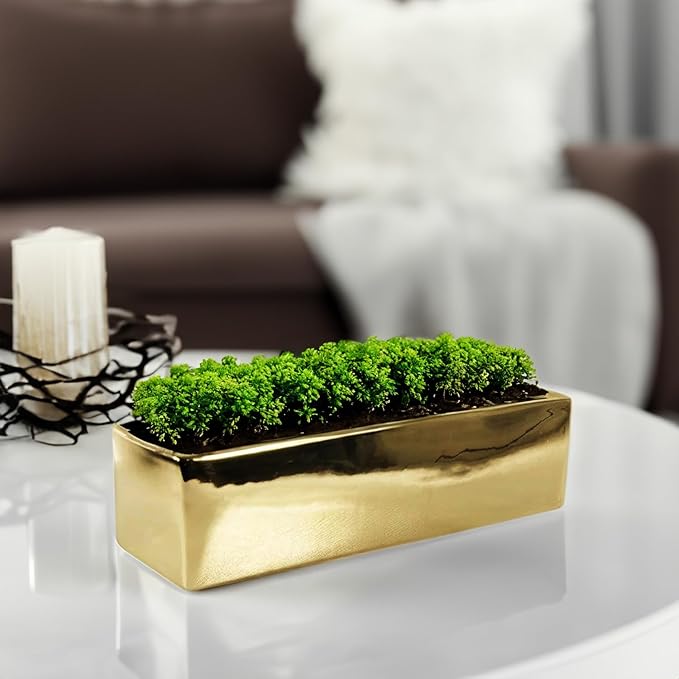 WGVI Long Rectangle Ceramic Planter Vase in Gold 12" x 4" x 4"H, Block Rectangular Terrarium Box Pot, Flower Arrangement, Table top Centerpiece, Home Decor Organization Storage Container, 1 Pc.