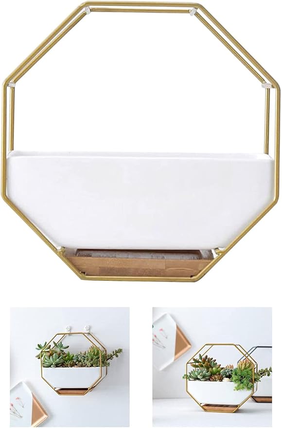 Modern Wall Planter Metal Wire Octagon Design Wall-Mounted Shelves with Ceramic Flower Pot Geometric Hexagon Wall Decor (Color : Golden)