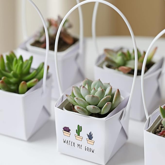 40pcs Watch Me Grow Succulents Wraps [NOT Include Plants and Pots]-[Fits 2 Inch Pots] Succulent Gift Wraps Bags Decoration Succulent Sleeve for Baby Shower Favors Ideas,White