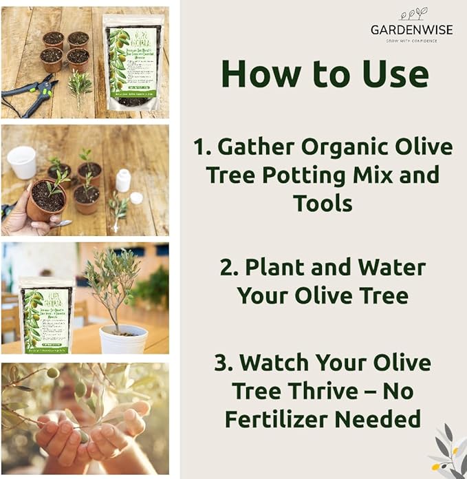 GARDENWISE Organic Olive Tree Potting Mix – Fast-Draining, Nutrient-Rich Soil for Indoor & Outdoor Olive Trees – Mediterranean Plant Care – Long-Lasting Formula (5 QUARTS)