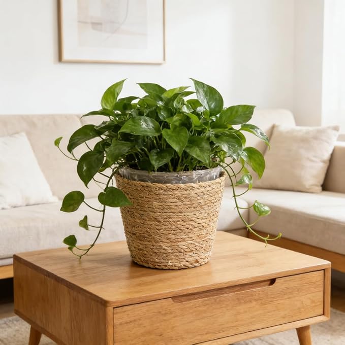 FOMIYES Home Decor Woven Straw Flower Pot Seagrass Planters Basket Garden Plant Pot Containers Wicker Rattan Vase Sundries Organizer Storage Bins for Indoor Outdoor Plants Vintage Decor