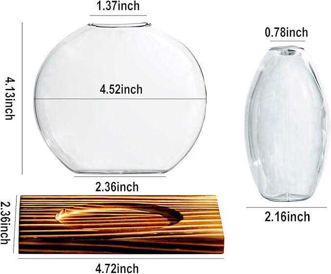 Glass Planter Propagation Station with Wooden Base - Clear Oblate Hydroponic Vase, Decorative Desktop Flower Vase for Home, Office, Windowsill - Gift for Plant Lovers (2)