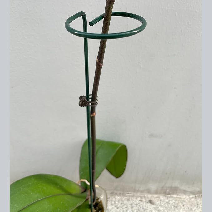 12 Pack 16 inch Plant Support Stakes, Metal Garden Support Stick Support Ring, Plant Sticks for Indoor Outdoor Single Stem Flower Peony, Orchid, Lily, Amaryllis, Rose, Tomato Pepper Plants Supports