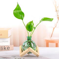 Plant Propagation Station Propagation Vases for Plants Glass Terrariums Vases Bulb with Wooden Stand for Hydroponic Water Plants Indoor, Office Decor Desk Accessories (Green)