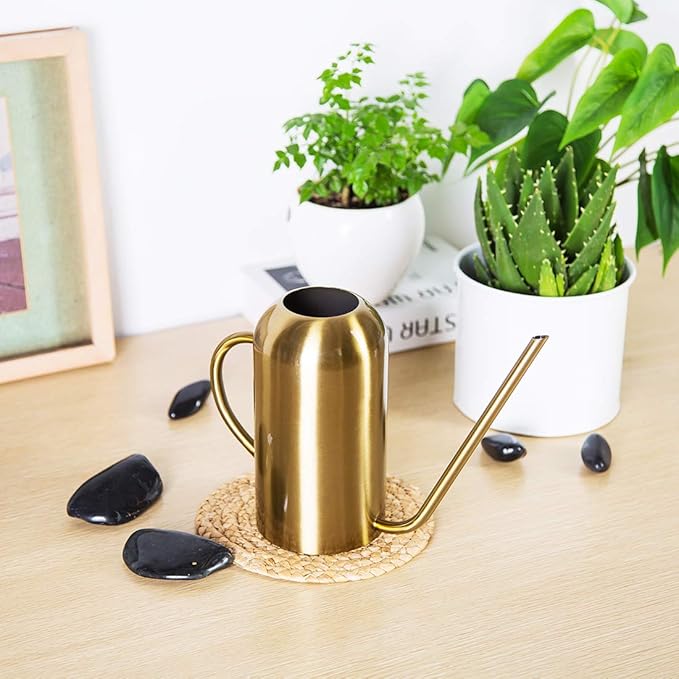 Stainless Stee Watering Can for Indoor Plants and Garden, Watering Pot 40oz/3gallon, Gold