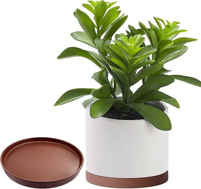 Yukfona Ceramic Plant Saucer Pot Tray 12 Inch, Planter Saucers 4 5 6 7 8 9 10 11 12 13 Inch for Indoors Outdoor, Durable Sturdy Flower Drainage drip Water Tray for Glazed Pots Base (12.7 Inch-Brown)