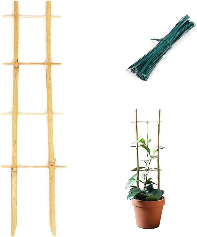 Cambaverd Bamboo Trellis, 16in Ladder-Shaped Trellis for Potted Plants, 3 Pack for Climbing Plants Indoor