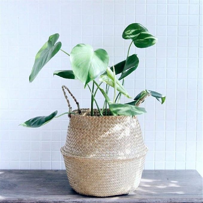 Woven Seagrass Belly Baskets with Handles for Planter Storage Flower Pot Cover Organizer&Laundry,Picnic Fruit&Grocery Baskets,Foldable Handmade Wicker Rattan Basket Hanging Decorative Baskets