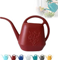 Watering Can 1 Gallon with Comfortable Handle, Flower Patterns Watering Can Indoor Plants, Plastic Long Spout Watering Can for House Plants Succulent Bonsai Garden Flower Outdoor (Red)