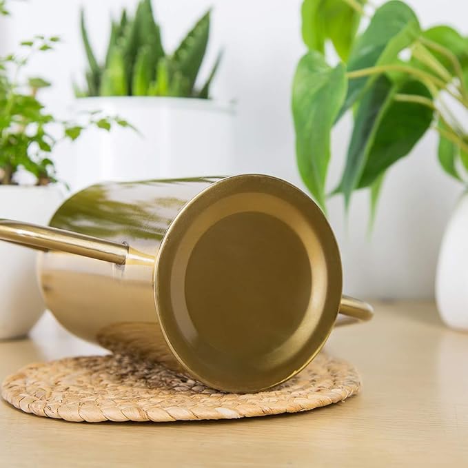 Stainless Stee Watering Can for Indoor Plants and Garden, Watering Pot 40oz/3gallon, Gold