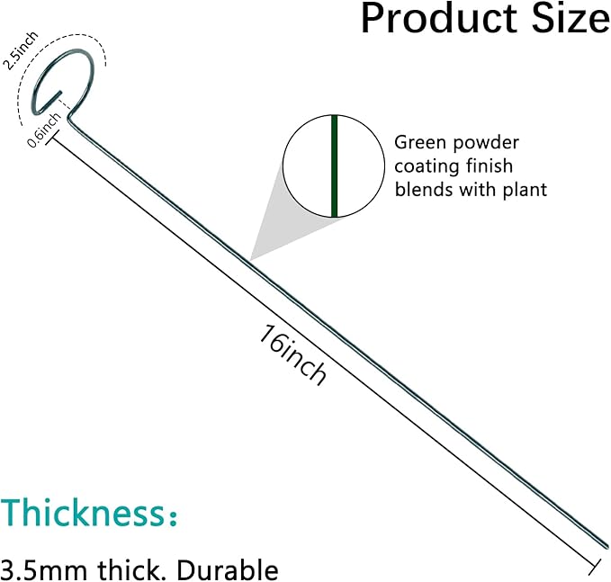 Thealyn 20 Pack 16 Inch Plant Support Stakes, Metal Single stemmed Flower Support Hoops，Garden Plant Stakes Plant Prop for Amaryllis Orchid Lily Rose Peony Tomatoes Gladiolus