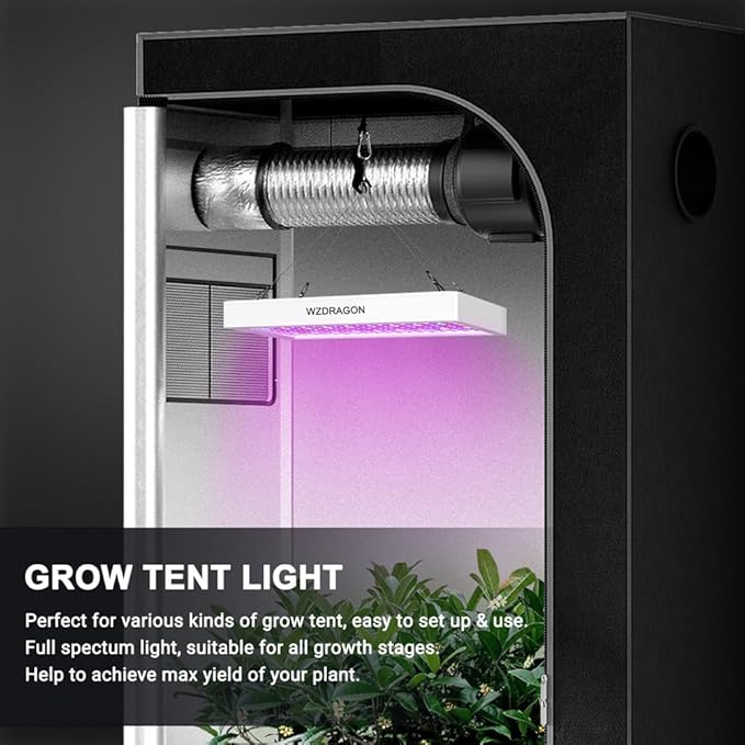Upgraded BW2000 LED Grow Lights Double Chips Full Spectrum with 10ft Cable for Greenhouse and Indoor Plant Veg and Flower Growing [White]