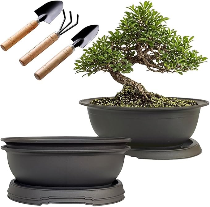 MUZHI 3 Pack Oval Bonsai Pot with Drainage Tray, Matte Finish Plastic Bonsai Growing Planters with Tools for Home Garden Plant Container (9.1" Large)