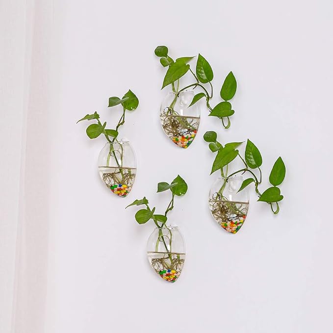 NUPTIO Hanging Planter Wall Terrarium: Glass Plant Holder 4 PCS Water Planting Vases Succulents Container Hydroponics Pots Clear Propagation Station Airplant Display for Office Home Living Room Gifts