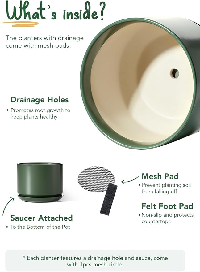 LE TAUCI Ceramic Pots for Plants, Set of 2, 10 + 12 Inch Plant Pot with Drainage Hole and Saucer, Durable & Stylish Planters for Indoor Plants, Elevate Your Home’s Aesthetic, Forest Green
