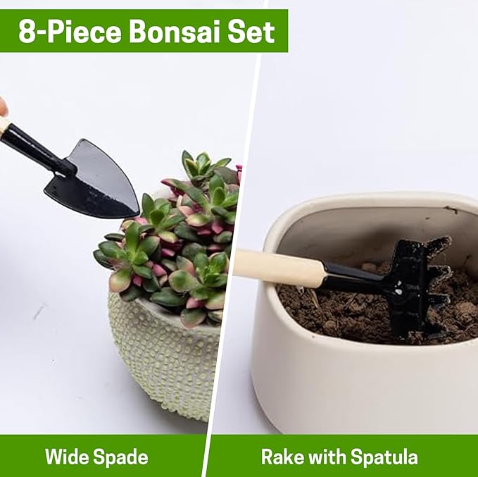 Bonsai Set 8 Pcs - Include Pruner, Fold Scissors, Mini Rake, Bud & Leaf Trimmer Set by ZELARMAN