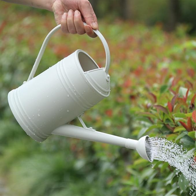 Baoblaze Watering Can Indoor Plants with Detachable Sprinkle Head 1.8L Lightweight er Watering Can Long Spout Watering Can for Plants Bonsai, White