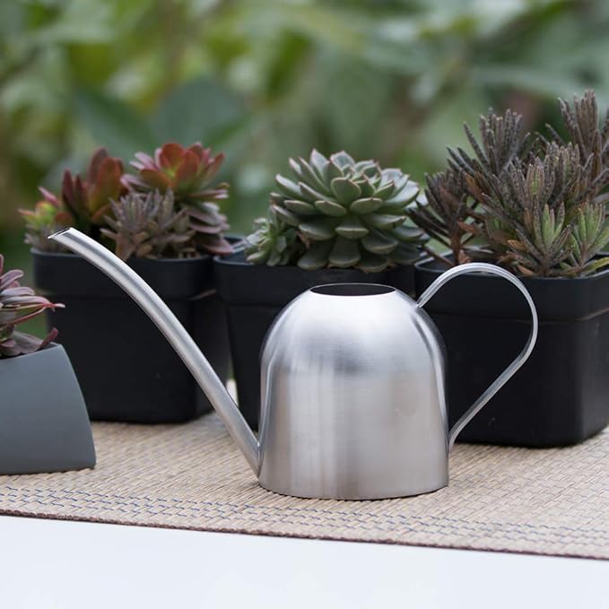 Stainless Steel Water Can for Indoor Plants and Garden (30 oz)