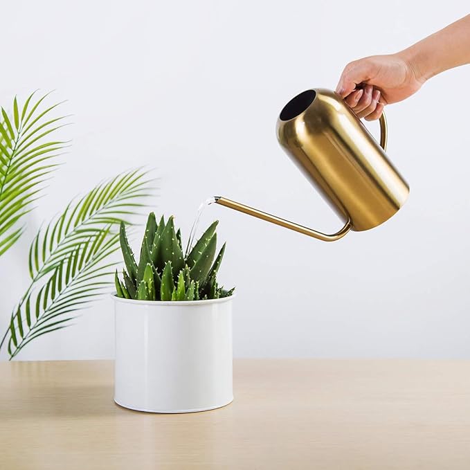 Stainless Stee Watering Can for Indoor Plants and Garden, Watering Pot 40oz/3gallon, Gold