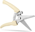 Flower clippers, 7.6 inch Pruning Shears for Beginners, High Strength Steel, Sharp Rust Resistant Floral Scissors with Comfortable Grip Handles, Garden Clippers, Rose Clippers for Gardening -White
