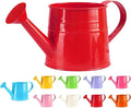 Metal Watering Can - 1L Vintage Sprinkling Can Plant Watering Can for Outdoor Indoor Plants, Tinplate Watering Kettle Gardening Tool, Galvanized Steel Watering Cans for Flowers (Red)