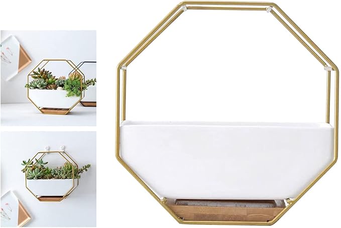 Modern Wall Planter Metal Wire Octagon Design Wall-Mounted Shelves with Ceramic Flower Pot Geometric Hexagon Wall Decor (Color : Golden)