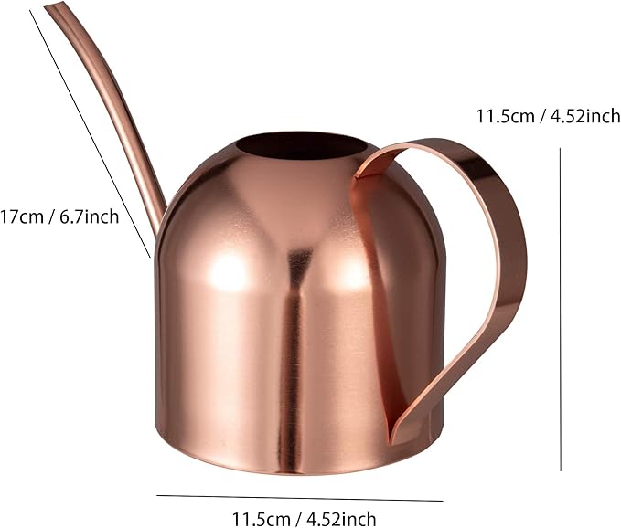 IMEEA Indoor Watering Can for House Plants 33oz/1L Stainless Steel Watering Can with Long Spout for Succulents, Bonsai