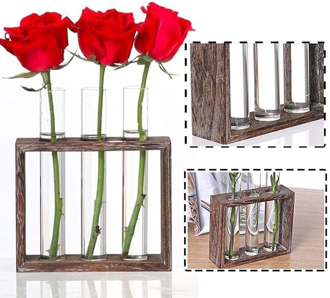 Wall Mounted Hanging Glass Test Tube Planter Propagation Station Glass Vase Rack with Wood Stand, Plant Terrarium Holder for Hydroponics Succulent Air Bamboo Plants with Test Tube