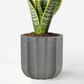 10 Inch Plant Pot – Ceramic Planter with Drainage Hole & Removable Drain Plug, Decorative Flower Pot for Indoor Outdoor Plants, Modern Round Large Planter, Grey