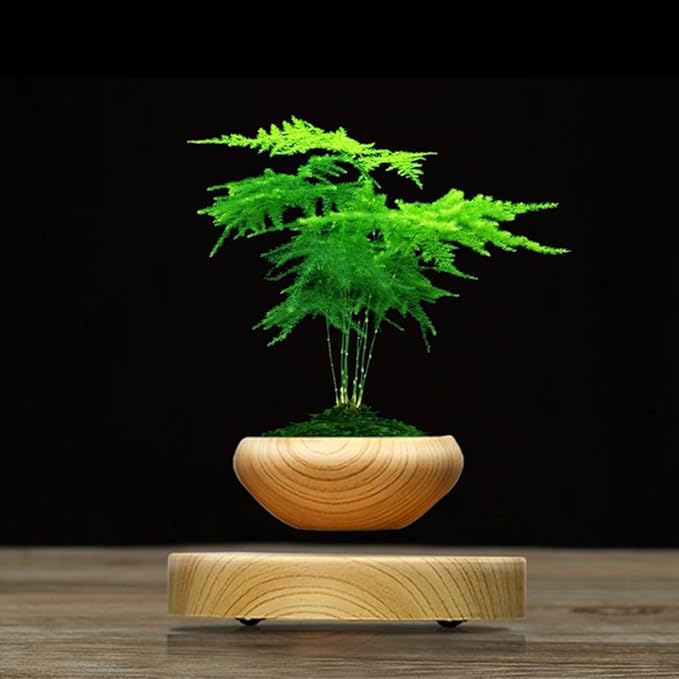 Magnetic Levitation Plant Craft Potted Aerial Flower Plant Pot