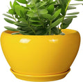 Ceramicfor Indoor Planter 11 Inch - Decorative Mid-Century Large Ceramic Plant Pot for Outdoor Plants with Drainage Hole and Saucer, Home Balcony House Garden Patio Office Room Decor, Yellow