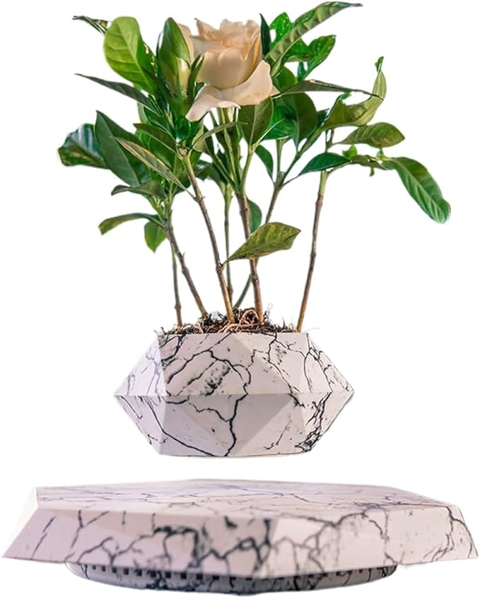 Magnetic Levitating Planter with Geometric Black Design for Home and Office Decorative Display (White)