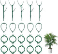 Decorative Stackable Twig, Plant Support Frame & Cage Support Rings, Plant Holder Stick with Clamps, Twig Trellis with 5 Poles for Indoor Outdoor, Potted Plants Flower Climbing Plants ﻿ (Green（B)
