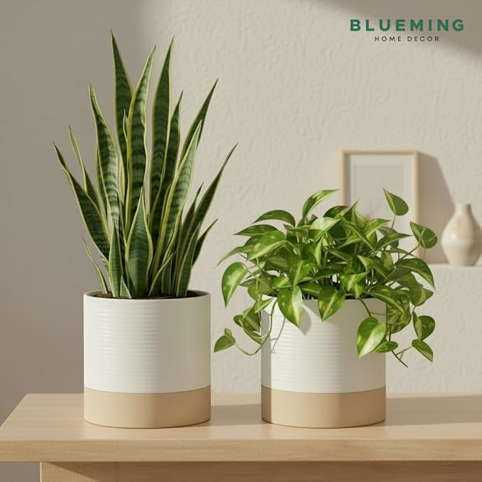 Ceramic Self Watering Plant Pots – 6 Inch Planter for Indoor House Plants with Drainage & Water Storage for Succulents (White & Beige, 7" Tall)