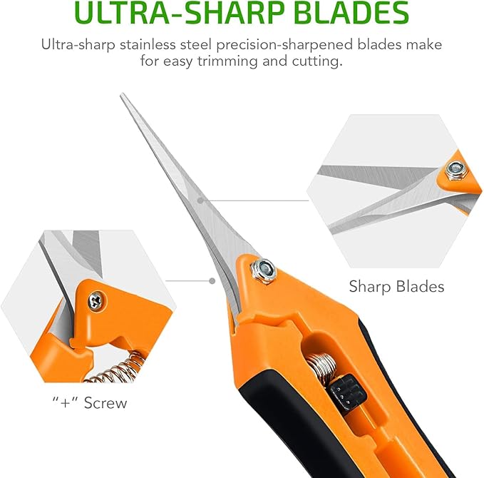 iPower 6-Pack 6.5 Inch Garden Hand Pruner Shears with Straight Stainless Steel Blades Scissors, for Hydroponic Trimming Herb/Flowers/Vegetables/Plants, Orange