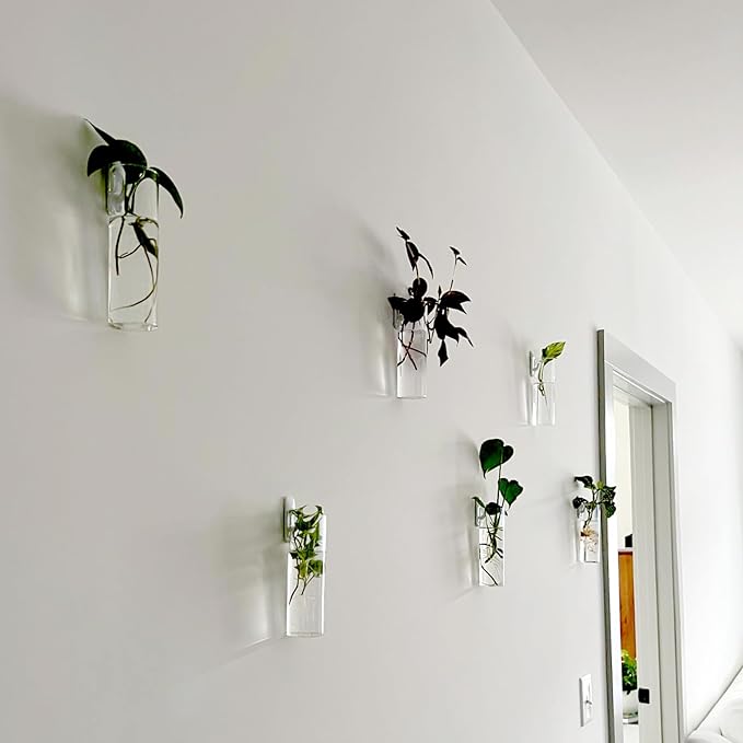 JEUIHAU 6 PCS Glass Wall Mounted Planters, Wall Glass Tube Plant Holder, Plant Propagation Containers for Hydroponics Plants, Garden Decor