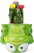 Cute Animal Ceramics Planter Succulent Pot with Drainage, 4.4 Inch Plant Pot for Indoor Mini Plants Flower Cactus, Home and Garden Decor Fun Frog Gift