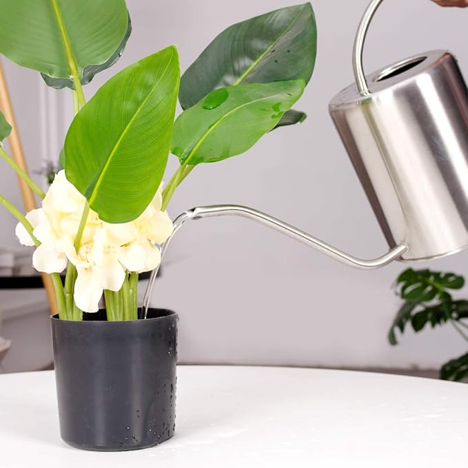 Stainless Steel Silver Colored Watering Can 1/2 Gallon Long Spout Watering Pot for Indoor Plant Watering or Outdoor Gardening with 2Pcs Removable Spray Spout for Flowers