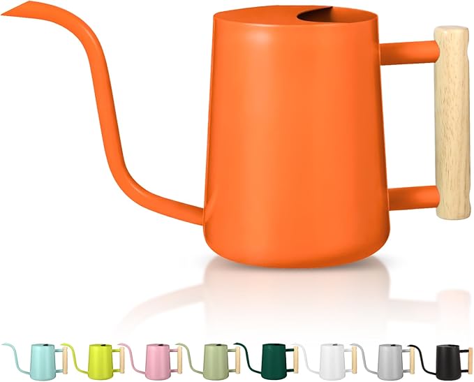 Watering Can Indoor Plants, 35oz Small Stainless Steel Metal Watering Can Modern Decorative Watering Pot with Long Spout for Indoor House Plant Bonsai Garden Flowers (Orange)