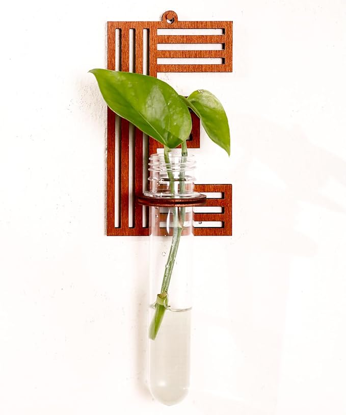 Wood Letter E Wall Propagation Station Lightweight Decorative Plant Holder for Small Cuttings, Removable Adhesive Wall Decor for Bedroom, Nursery, Office