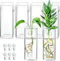 6 Pcs Glass Wall Mounted Planters, Hanging Glass Tubes Flower Vase, Wall Vase for Plants Indoor, Propagation Wall Planter Container for Hydroponics Plants, Garden Wedding Decor
