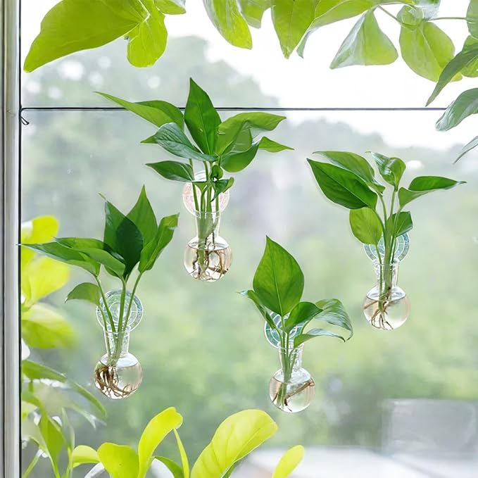 Bunmery 4 pcs Window Propagation Stations, Suction Cup Plastic Plant Propagation Bulbs, Easy to Install Wall Hanging Planter, No Nails Plastic Plant Terrarium Vase