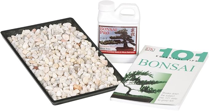 Brussel's Bonsai Starter Success Kit with 13" Humidity Tray & Deco Rocks