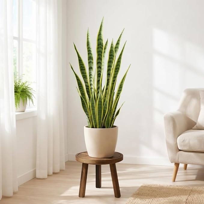 Wood Plant Stands Indoor, Updated Single Plant Stand Modern Plant Table for Large Plants, Wooden Plant Stool, Tall Plant Holder Small Round Side for Living Room, Balcony, Office (Dark Brown)