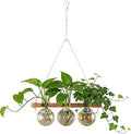 Plant Propagation Station Wall Hanging, Planter Terrariums with Wooden Stand for Hydroponics Plants and Cuttings, 3 Bulb Propagation Vases, Home Office Wall Decor, Gift for Plant Lovers